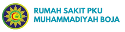 Hospital Logo